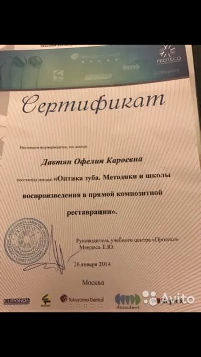 Оптика зуба. Методики и школы воспроизведения в прямой композитной реставрации