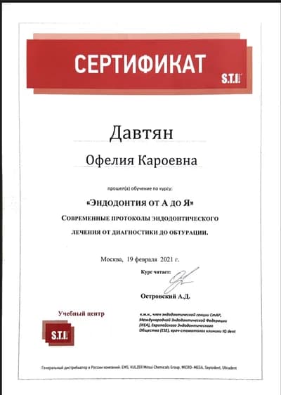 Эндодонтия от А до Я: современные протоколы от диагностики до обтурации